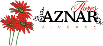 FLORES AZNAR